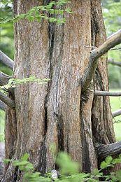 太空城市建造游戏《伊克西翁》将登陆PS5和Xbox Series